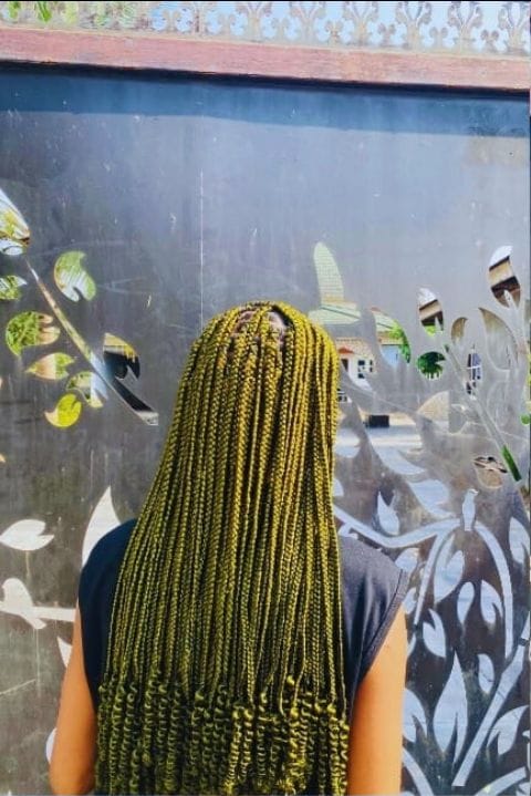 Long olive-toned knotless braids photographed from behind